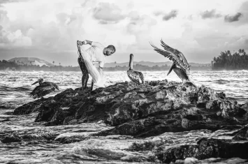 pescador-y-pelicanos1.jpeg